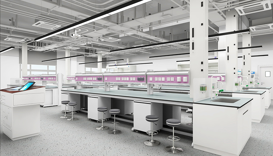 动物7天娱乐平台网站设计