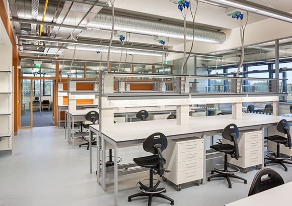 7天娱乐平台网站设计项目的关键因素是什么？