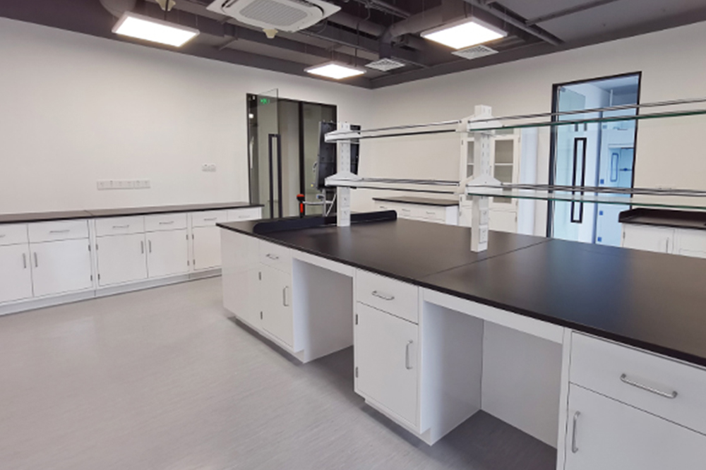 7天娱乐平台网站公司