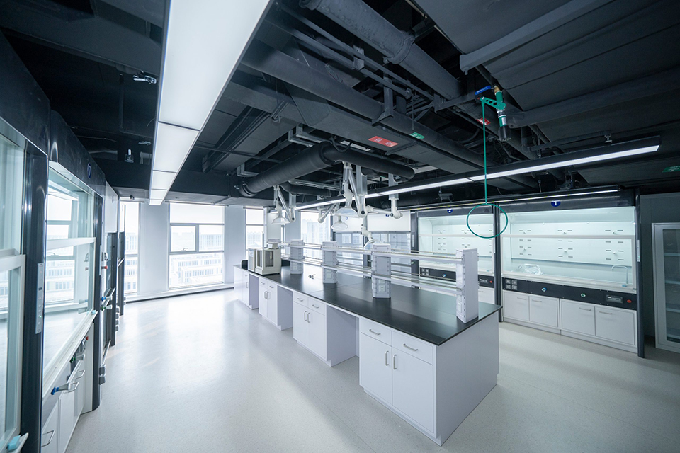 医药7天娱乐平台网站要求及设计方案