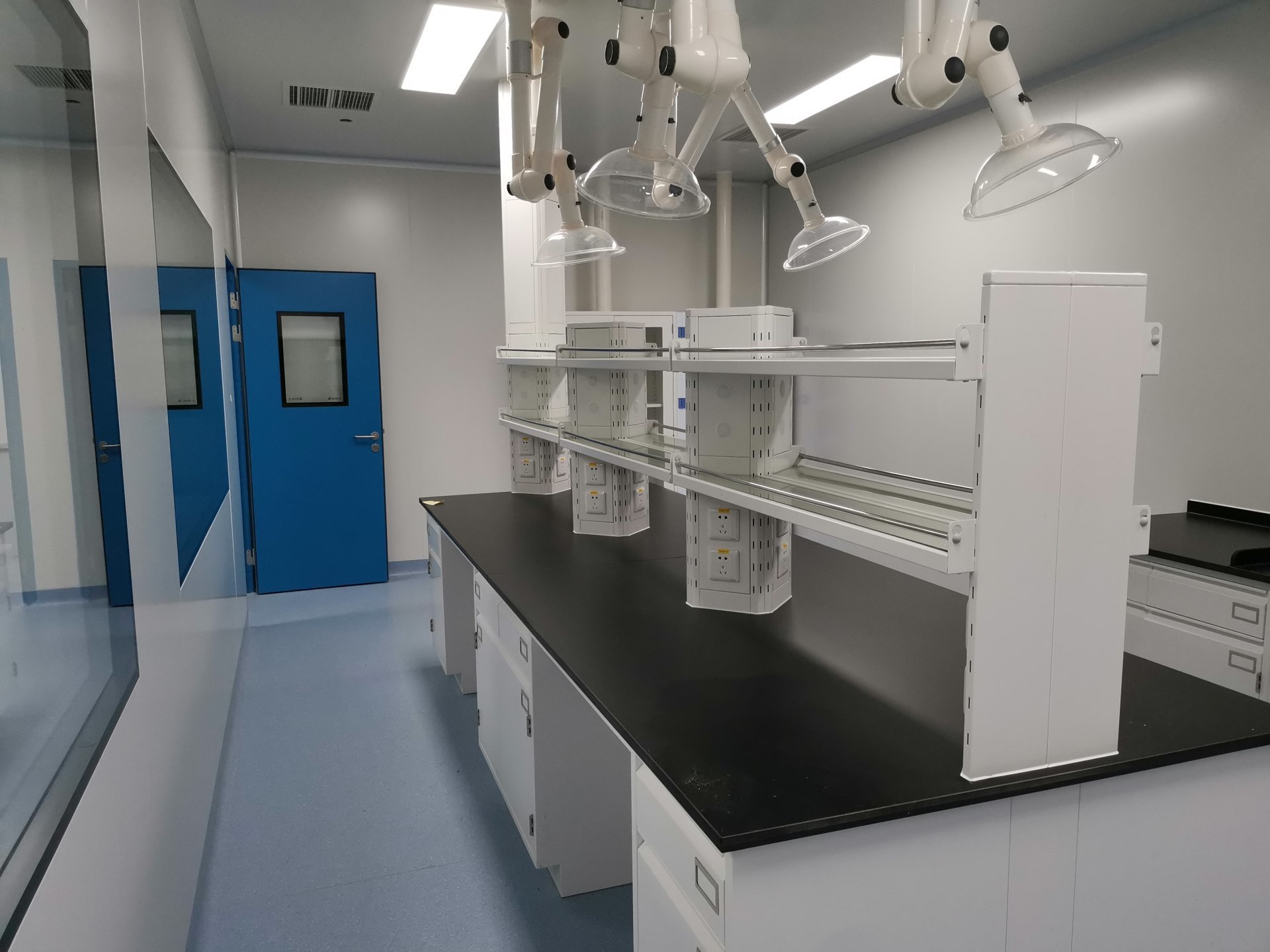 动物7天娱乐平台网站设计要求和方案