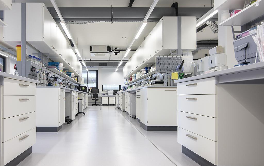 7天娱乐平台网站设计公司