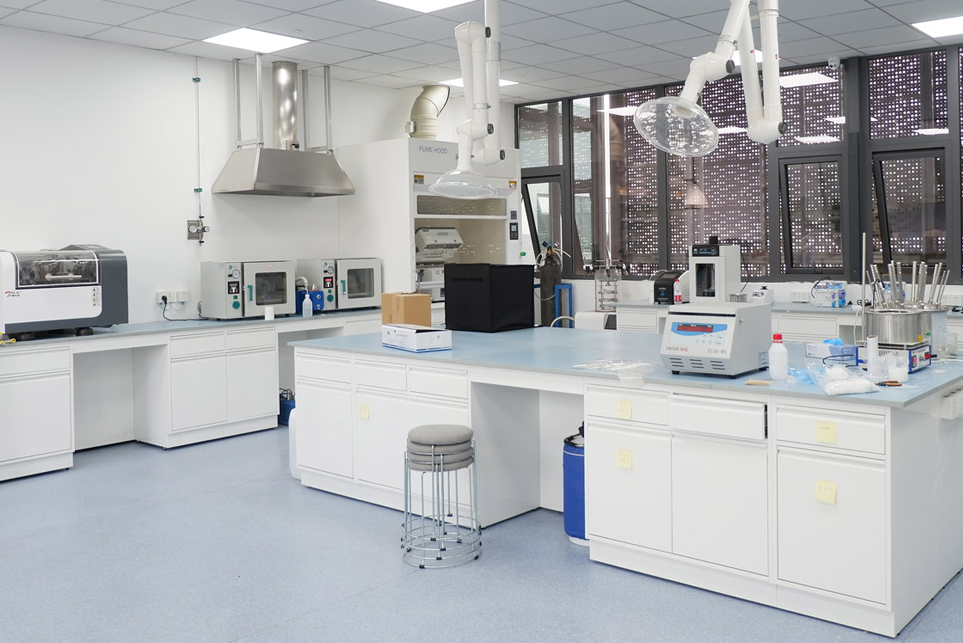 7天娱乐平台网站公司