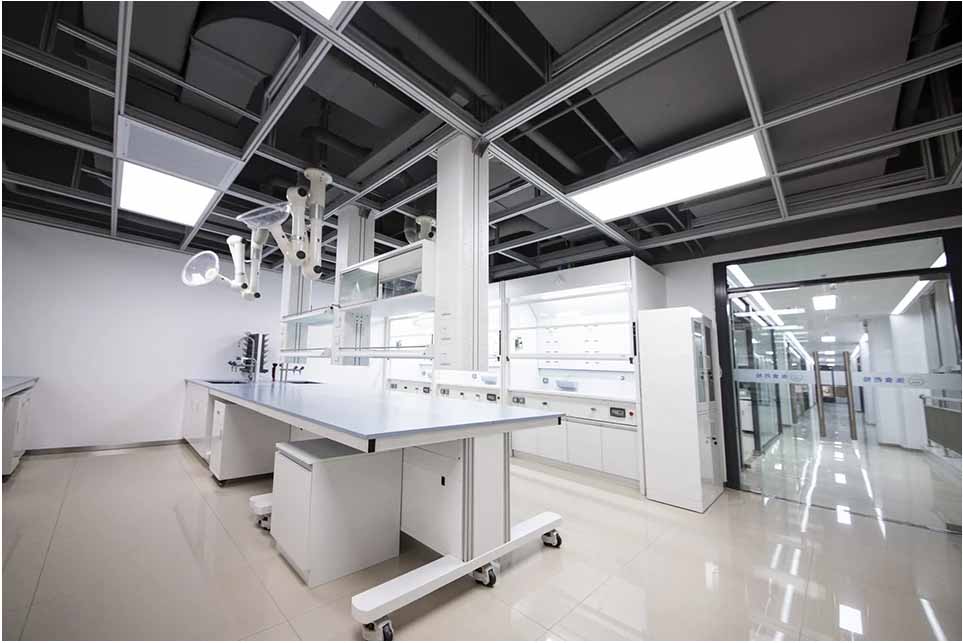 7天娱乐平台网站公司