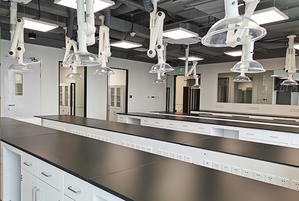 学校7天娱乐平台网站
学校7天娱乐平台网站